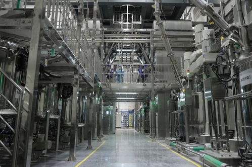 一場動力電池安全性的革命 弗迪重慶工廠與刀片電池的誕生